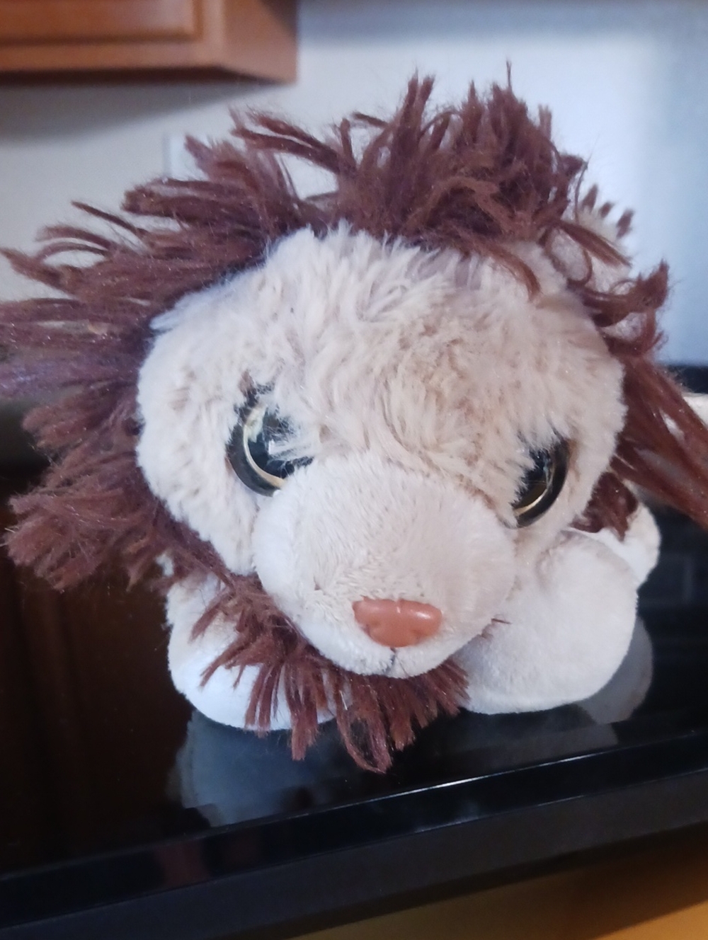 Lion Pencil Bag